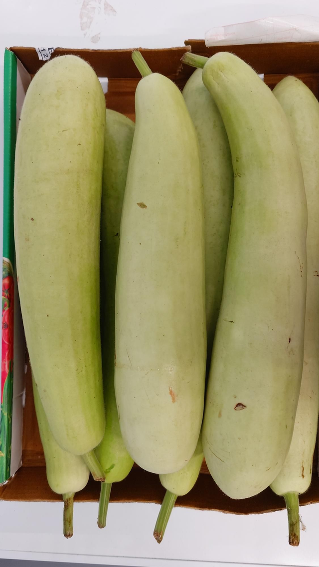 Bottle Gourd / Lauki / Dudhi Bhopla 700g