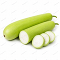 Bottle Gourd / Lauki / Dudhi Bhopla 500g