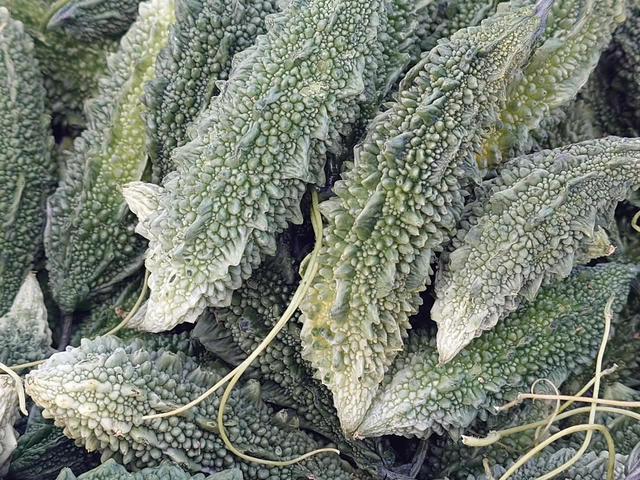 Bitter Gourd/ Karela 500gms