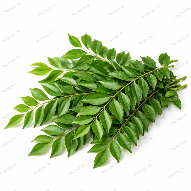 Curry Leaves 30gm (Approx)